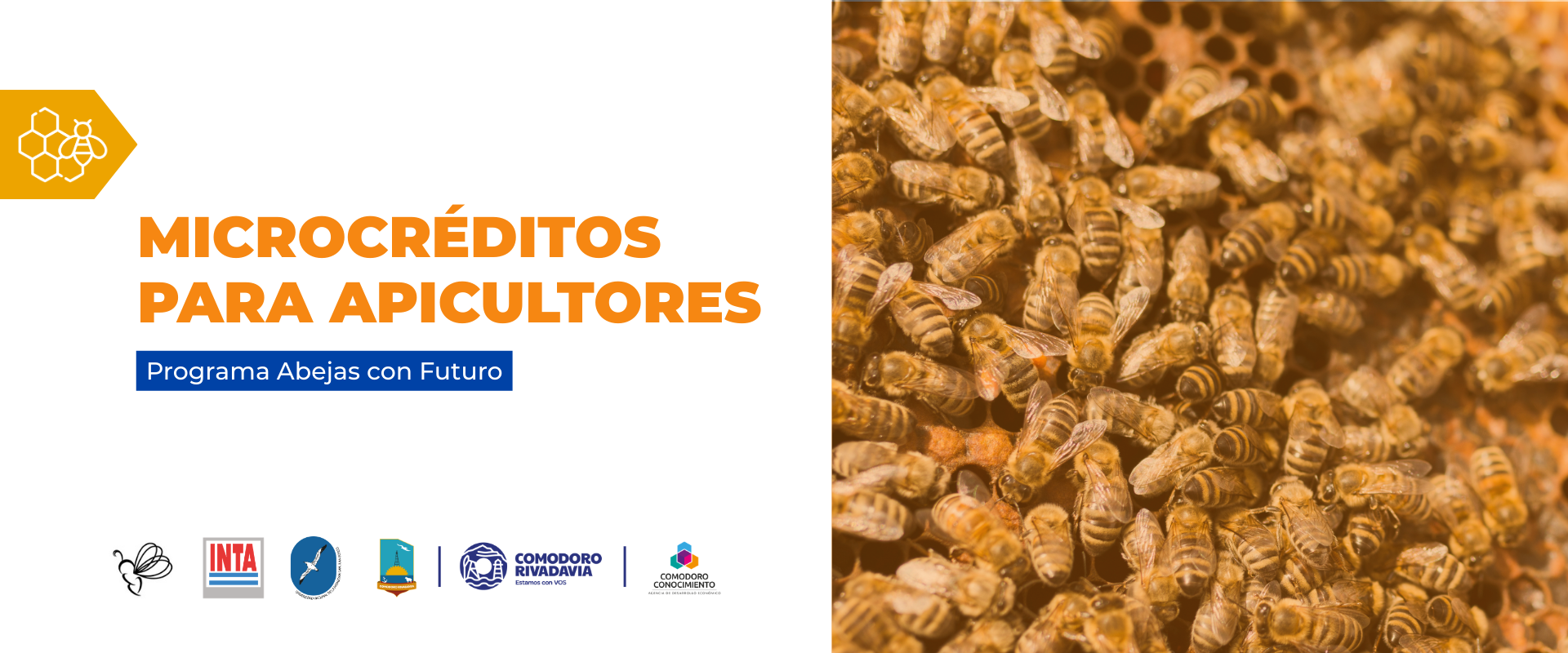 Microcréditos para Apicultores